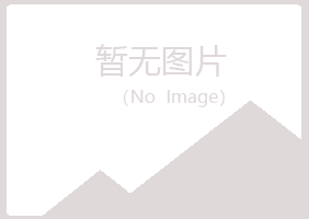 汉中汉台冰夏化学有限公司